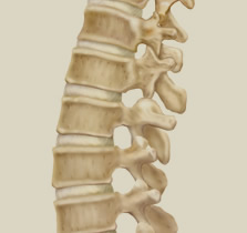 脊椎・脊髄センター
